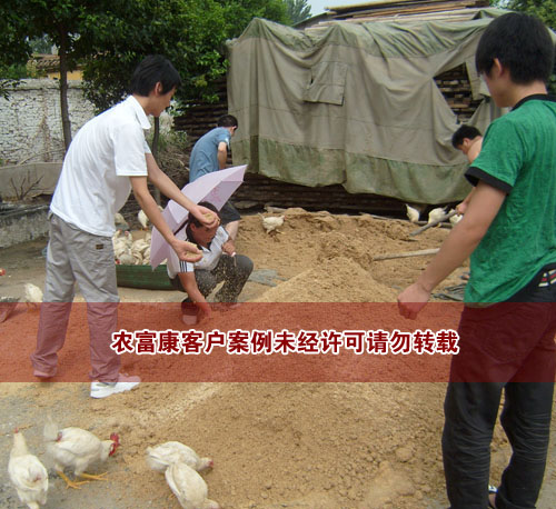 豆渣發(fā)酵做飼料喂雞用戶(hù)實(shí)例